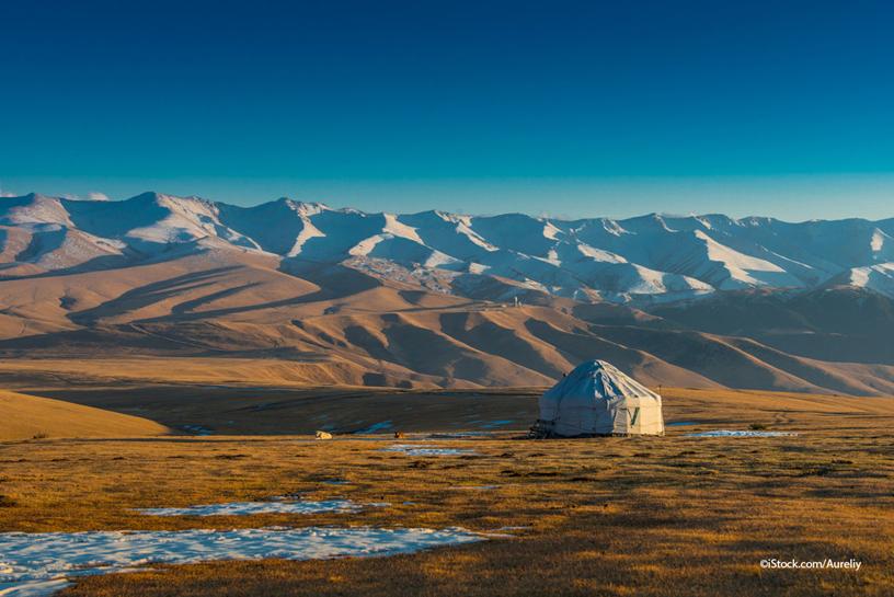 the Mongolian Steppe