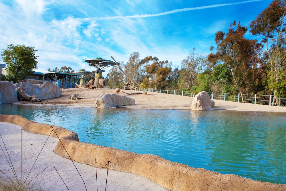 Beautifully designed elephant aviary with pond and rocks. San Diego Zoo