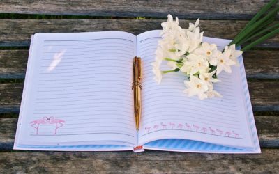 How to Rewire Your Brain for Happiness with a Gratitude Journal