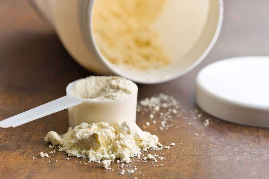 top protein powders